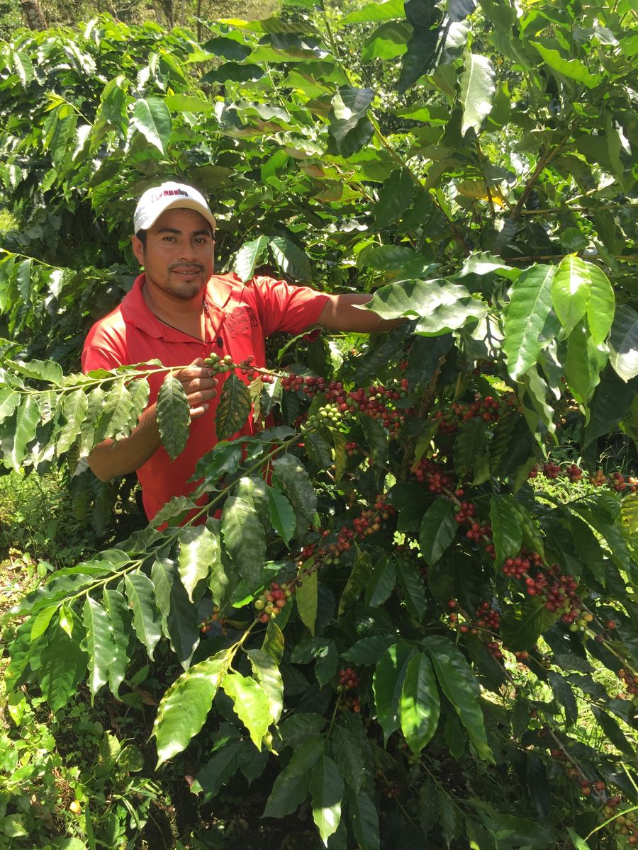 Nicaragua El Limoncillo