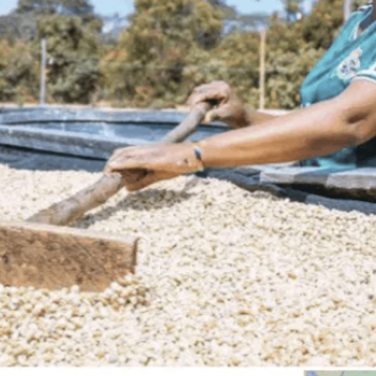 Tanzania Umalila Mbeya Bærtørket