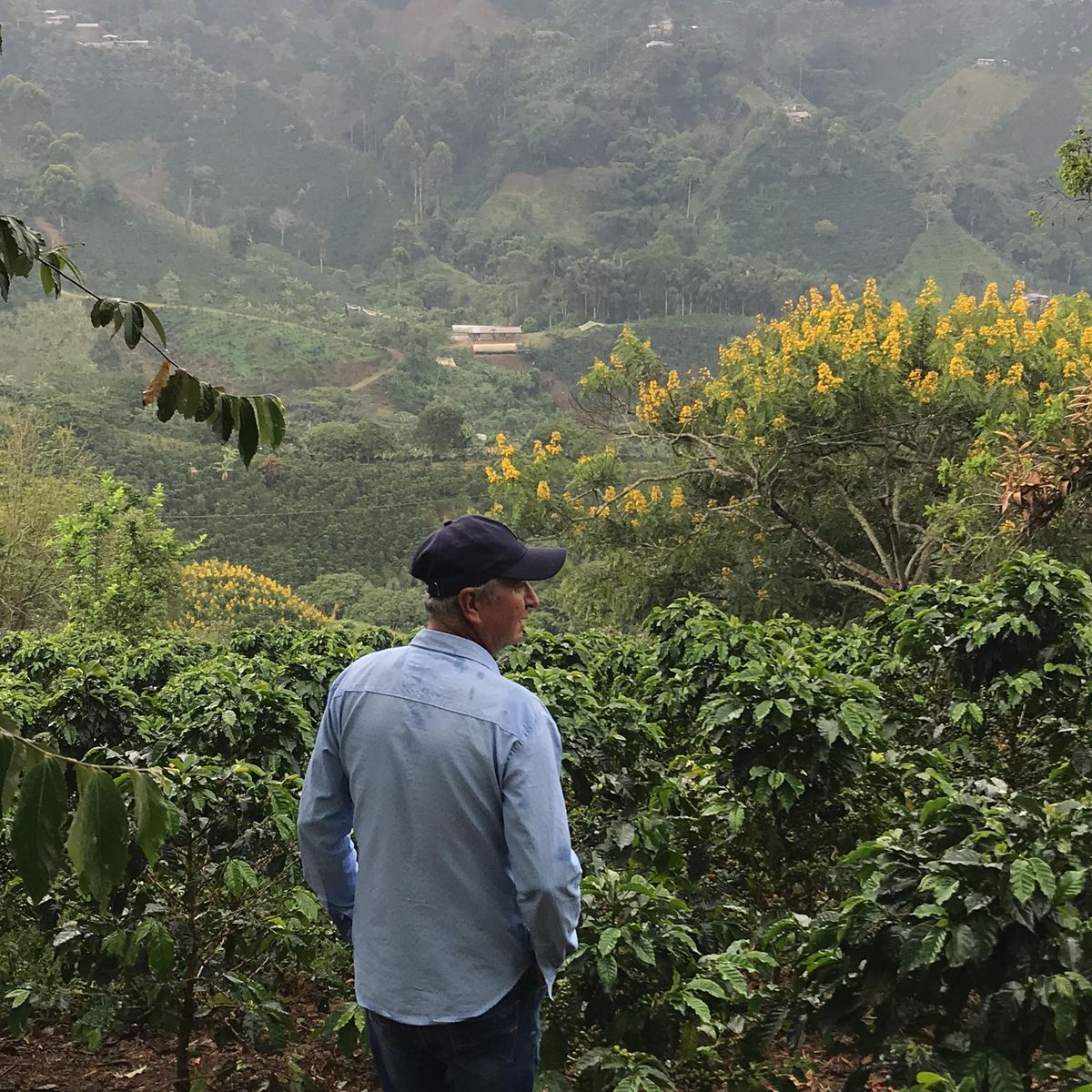 Colombia Panorama #2 by Arbey Cardozo